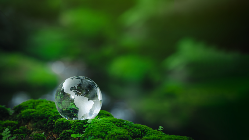 Descubra com Cicero Viana Filho as principais estratégias públicas no combate às mudanças climáticas.