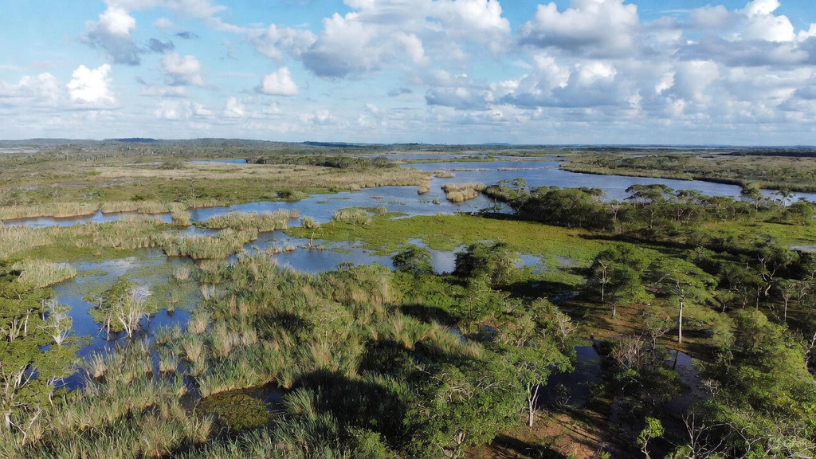 Vivenciar o Pantanal e a pesca esportiva é mergulhar em paisagens únicas e tradições que encantam, observa Leonardo Rocha de Almeida Abreu.