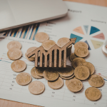 Sindnapi - Sindicato Nacional dos Aposentados, Pensionistas e Idosos