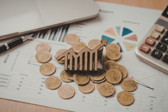 Sindnapi - Sindicato Nacional dos Aposentados, Pensionistas e Idosos