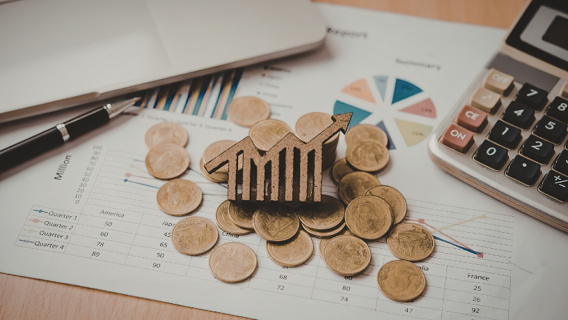 Sindnapi - Sindicato Nacional dos Aposentados, Pensionistas e Idosos