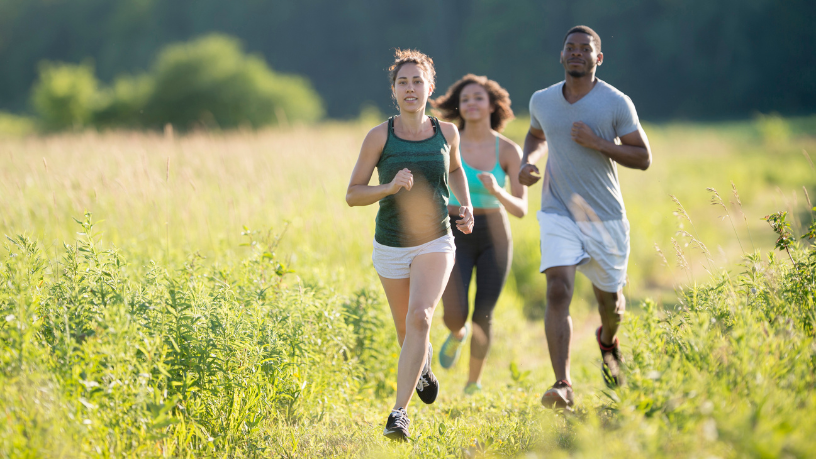 Daugliesi Giacomasi Souza